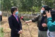 2020年5月12日，南京老山抗疫凯旋林竣工(带现场直播入口)